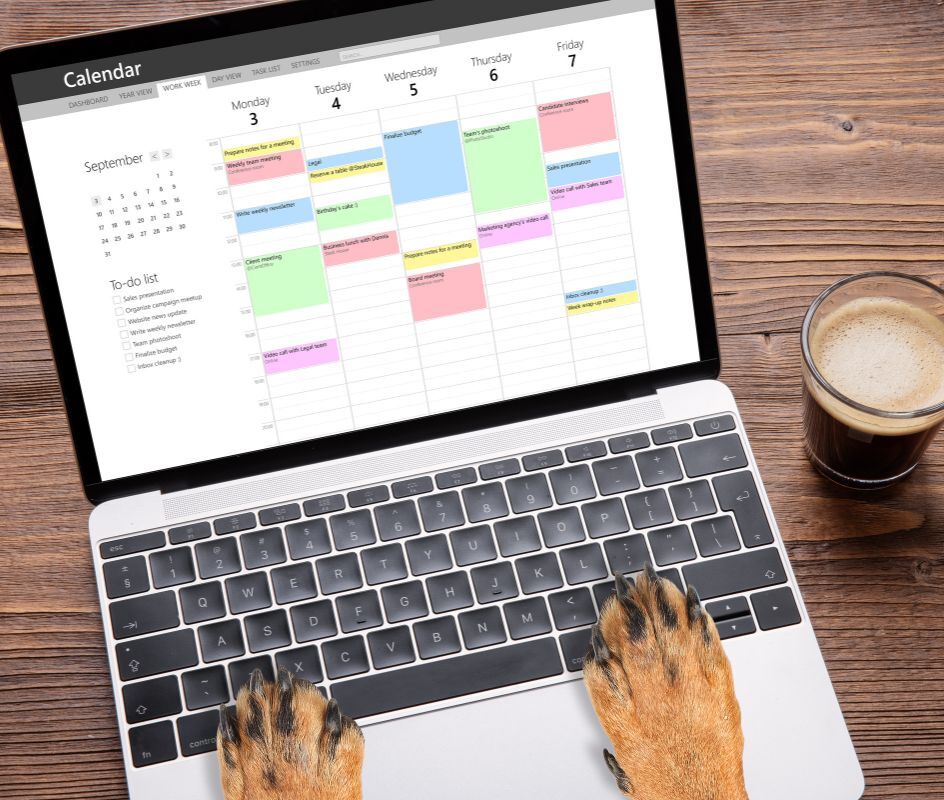 Book An Appointment Lutherville Animal Hospital