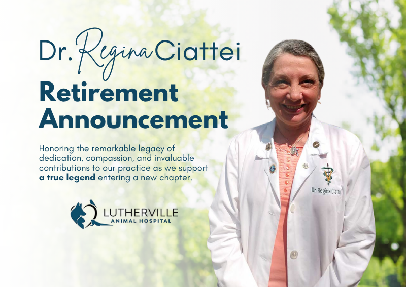 Carousel Slide 1: Learn more about Dr. Ciattei's Retirement>>