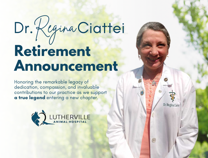 Dr. Regina Ciattei Retirement Announcement